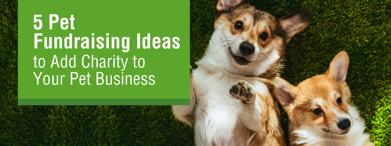5 Pet Fundraising Ideas to Add Charity to Your Pet Business | 99Pledges |  Start a fundraiser!