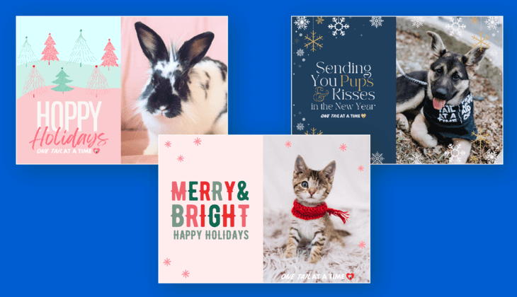 One Tail At A Time sold these eCards featuring their rescue animals.